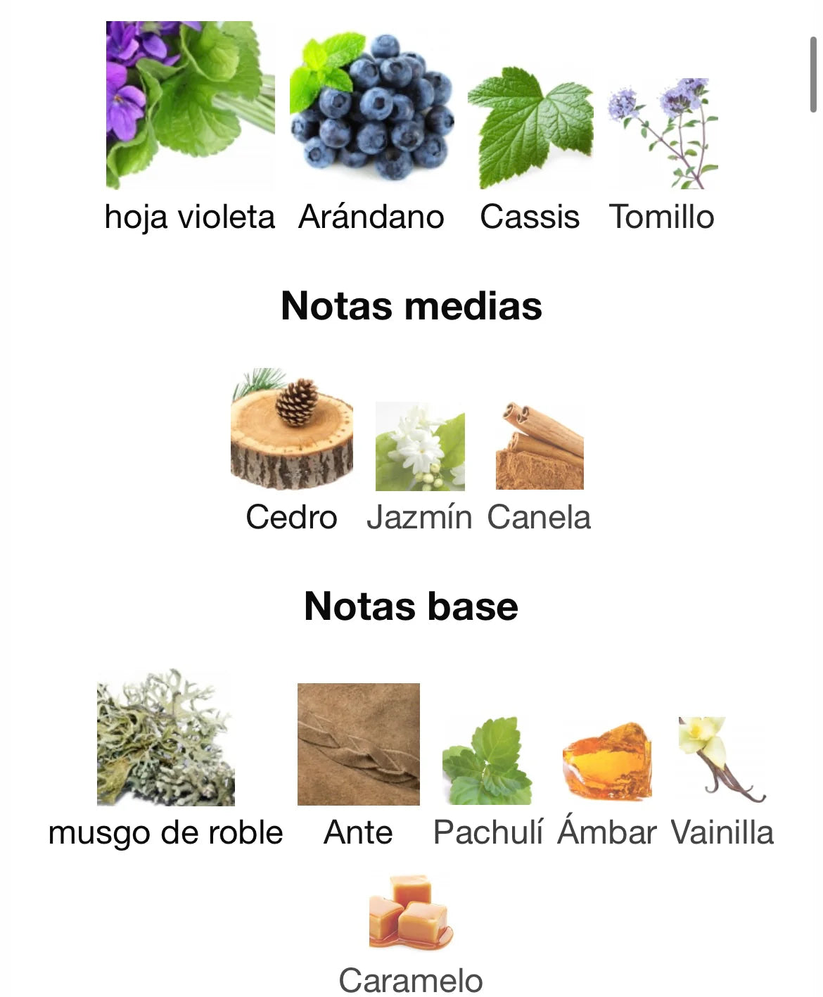 DECANT BOND 9 BLEECKER STREET