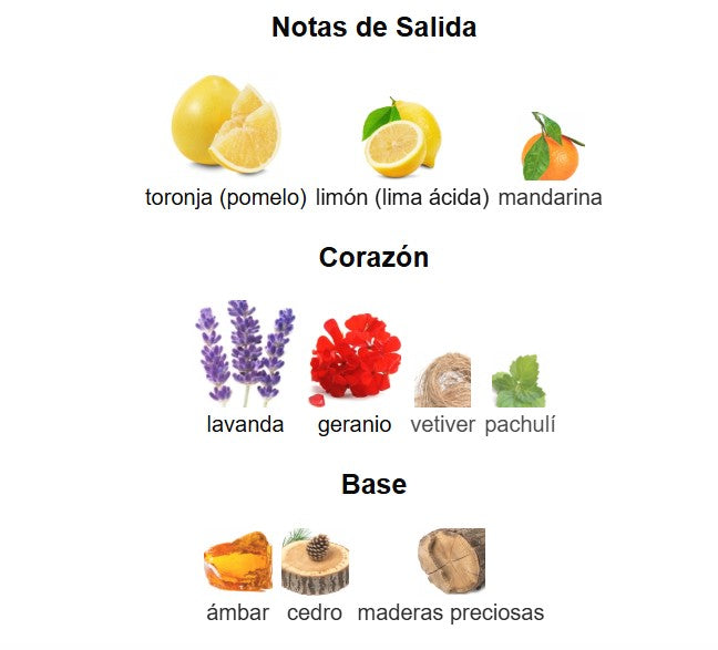 DECANT ARMAF VENTANA