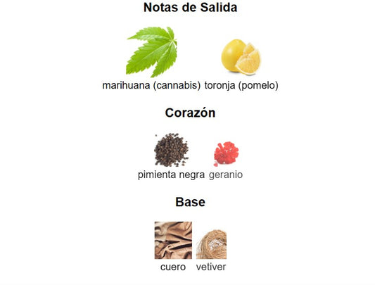 DECANT CAROLINA HERRERA BAD BOY LE PARFUM