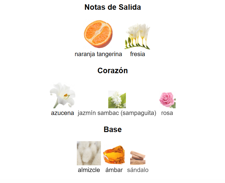 DECANT BOND 9 NOLITA