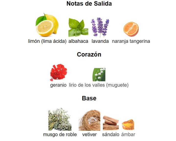 DECANT LOEWE POUR HOMME