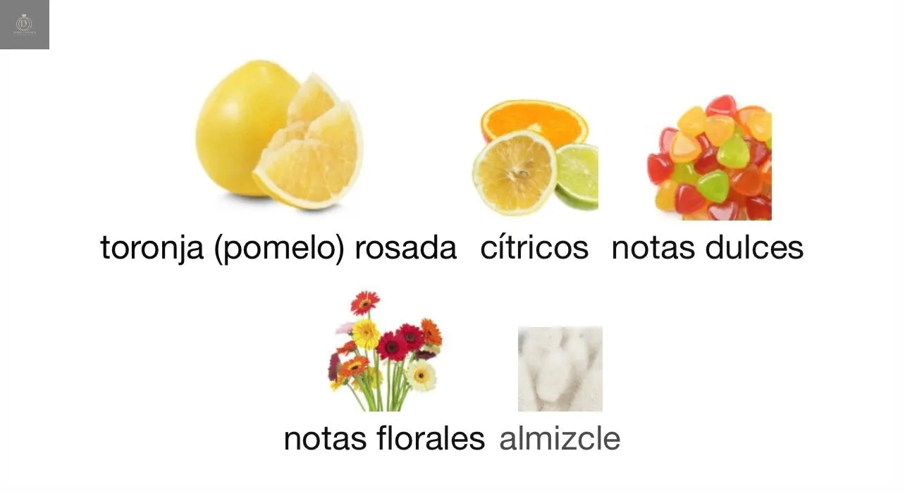 DECANT LATTAFA HAYAATI FLORENCE