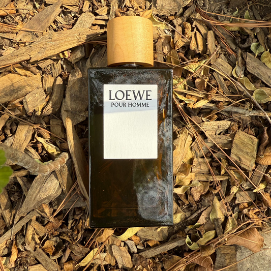 DECANT LOEWE POUR HOMME