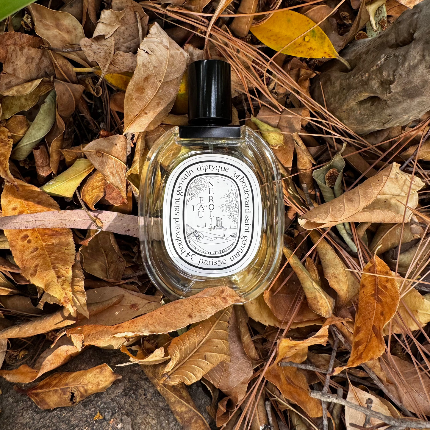 DECANT L'EAU DE NEROLI DE DIPTYQUE