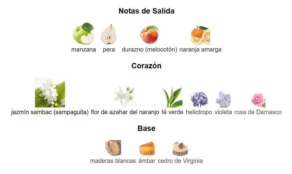 DECANT LOEWE SOLO ELLA