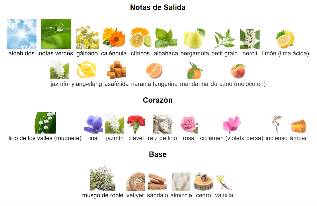 DECANT LOEWE AIRE MUJER