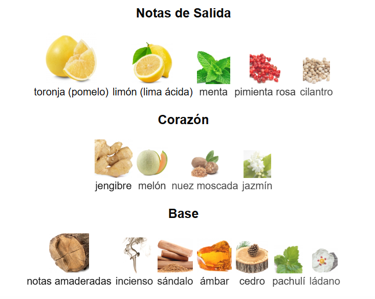 DECANT ARMAF CLUB DE NUIT ICONIC BLUE