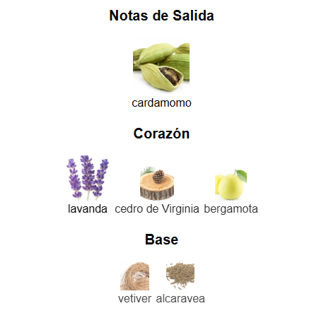 DECANT YVES SAINT LAURENT LA NUIT DE'L'HOMME