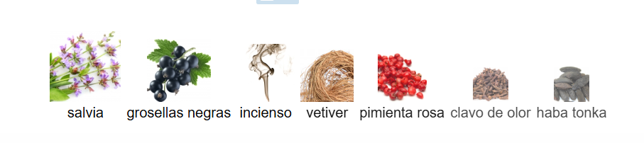 DECANT LOEWE 7 COBALTO