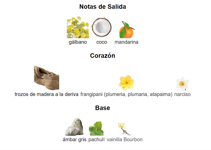 DECANT LOEWE PAULAS IBIZA