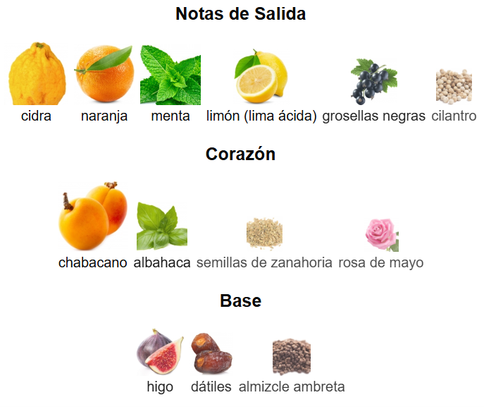 DECANTS LOUIS VUITTON PACIFIC CHILL